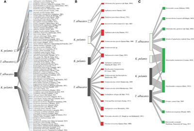 Can Stomach Content and Microbiomes of Tuna Provide Near Real-Time Detection of Ecosystem Composition in the Pacific Ocean?